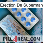 Érection De Superman 39